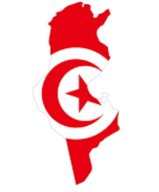 How to get Real Tunisia resdiential VPN with Tunisia ip address